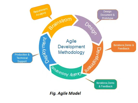 software development models 3 Agile model diagram - Image Source: Javatpoint.