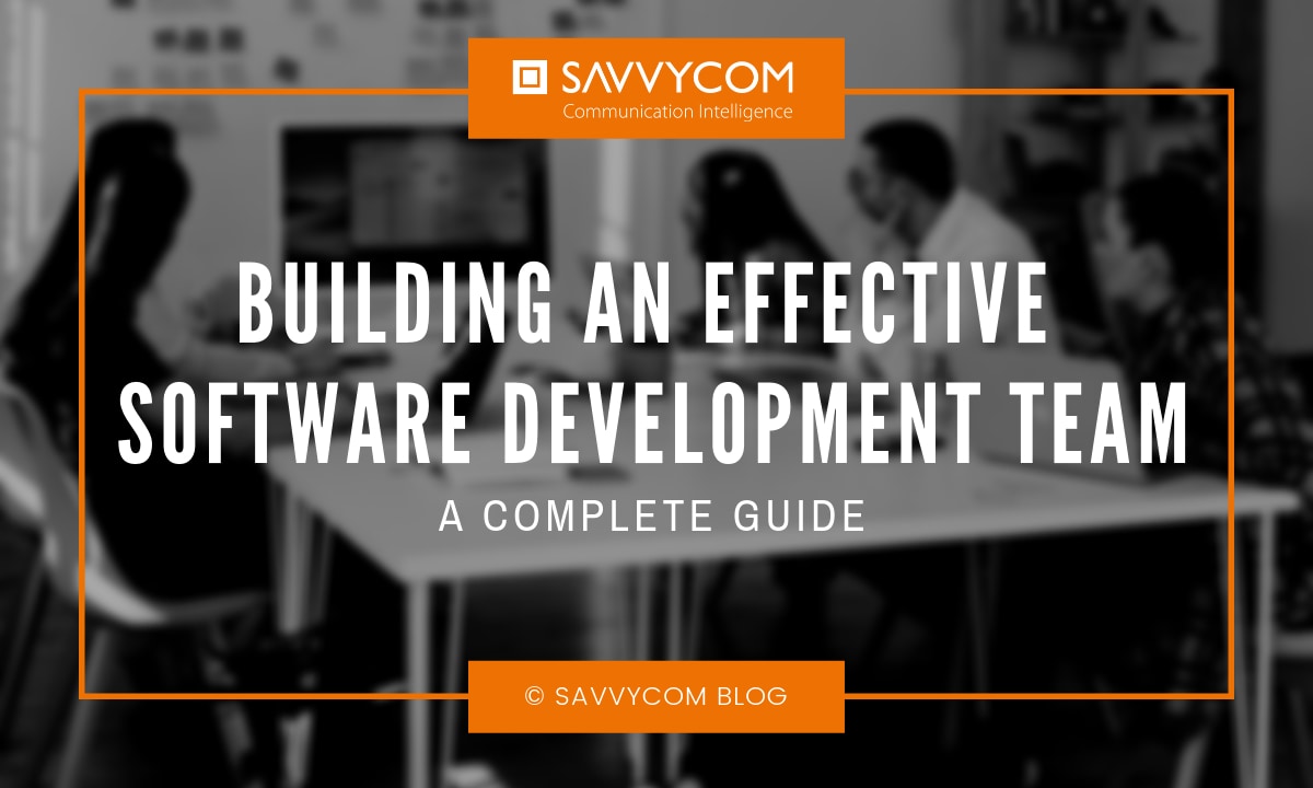Building an Effective Software Development Team: A Complete Guide by Savvycom