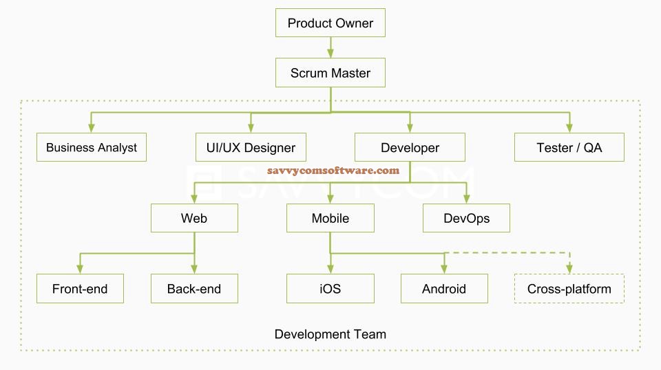 Building an Effective Software Development Team: A Complete Guide by Savvycom