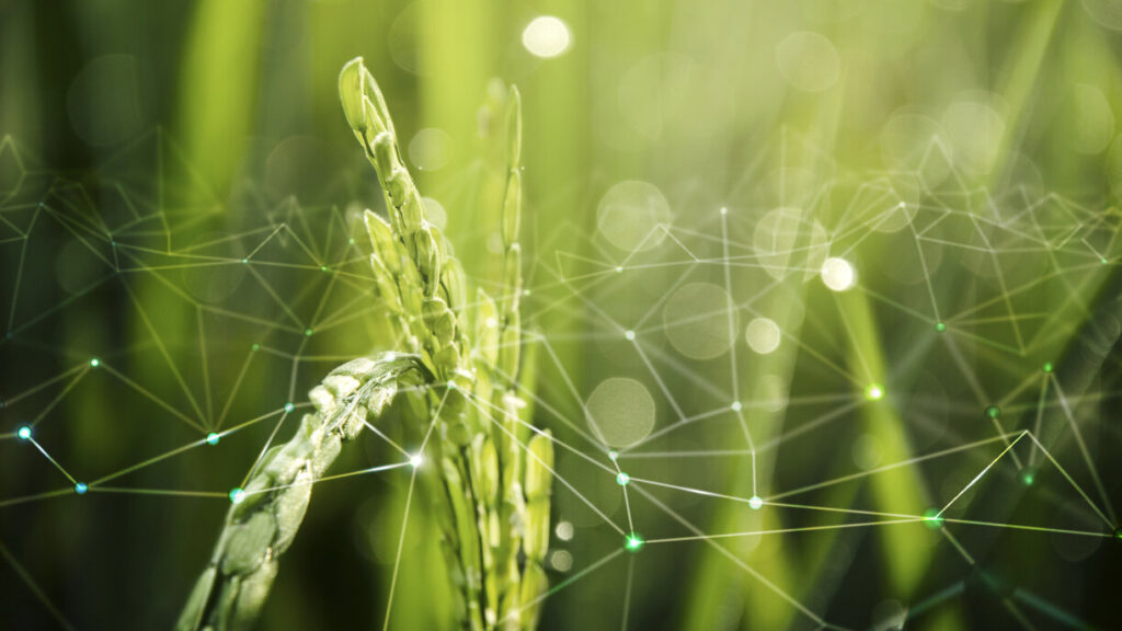 IoT in Agriculture