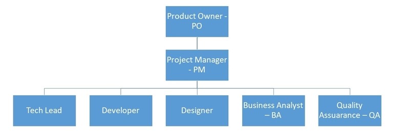 How to Build a Software Development Team Structure - GraffersID