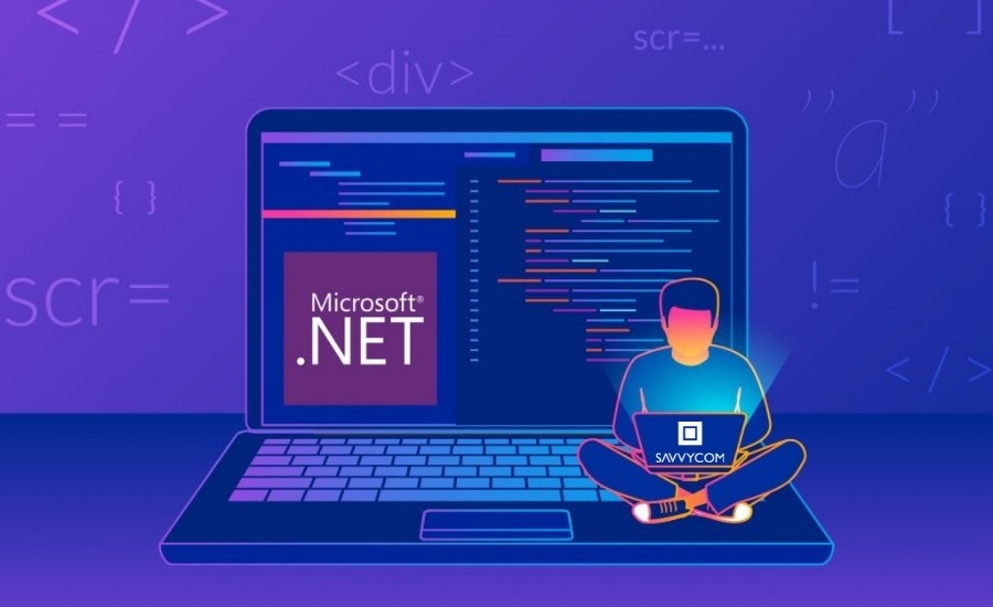 How To Hire Professional Net Developer Benefits Hourly Rate