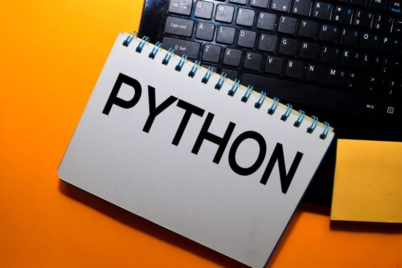 Python Developer Rate | Savvycom -1