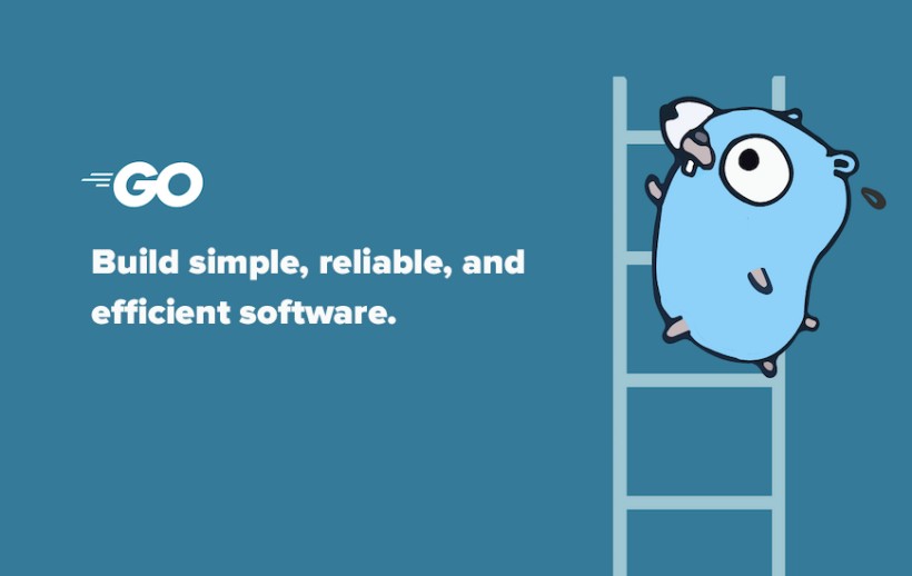 Why Golang? Advantages Of Choosing Golang For Your Project