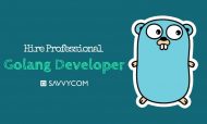 Hire Professional Golang Developer: Benefits, Hourly Rate
