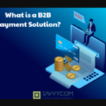 What Is A B2B Payment Solution? Everything You Need To Know!