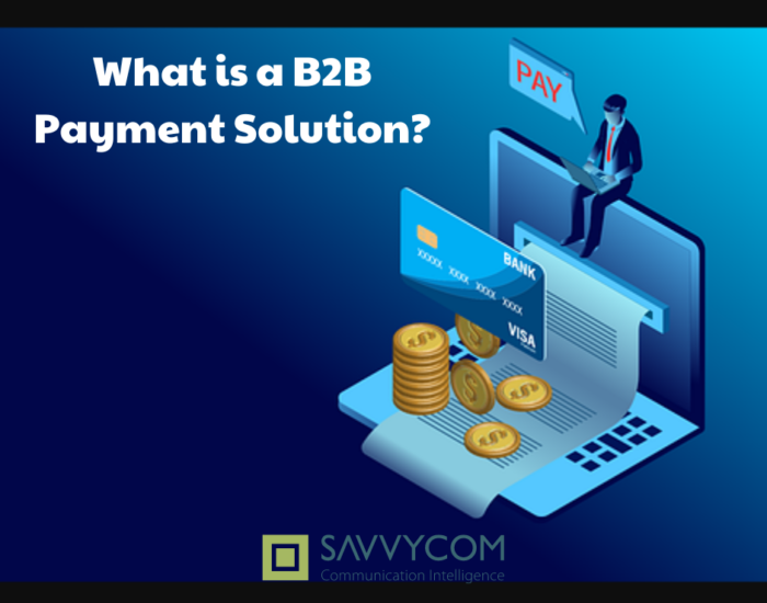 what is a B2B payment solution 1 700x550