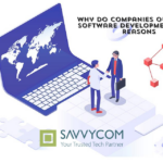 Why Do Companies Outsource Software Development: 5 Comprehensive Keys