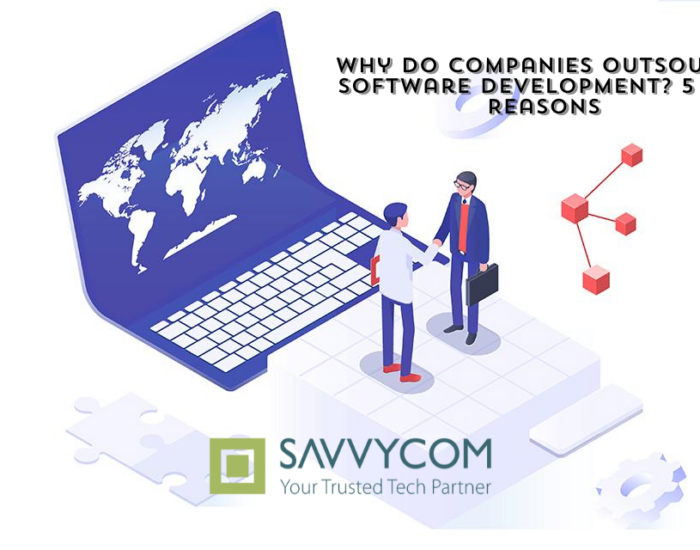 why do companies outsource software development 1 700x550