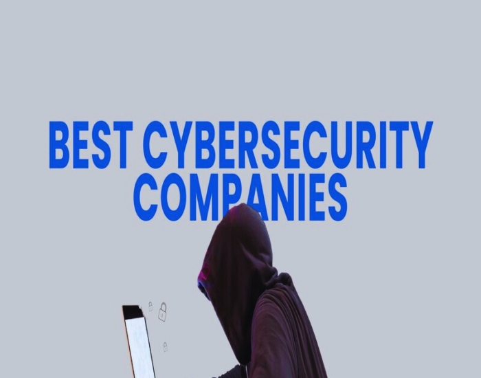 top 5 cyber security service provider 1 700x550