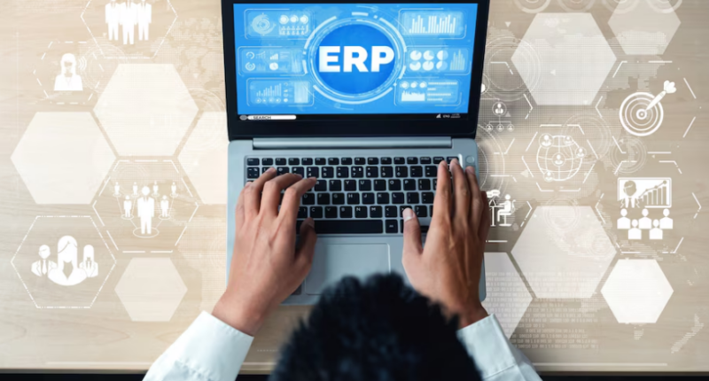 erp development