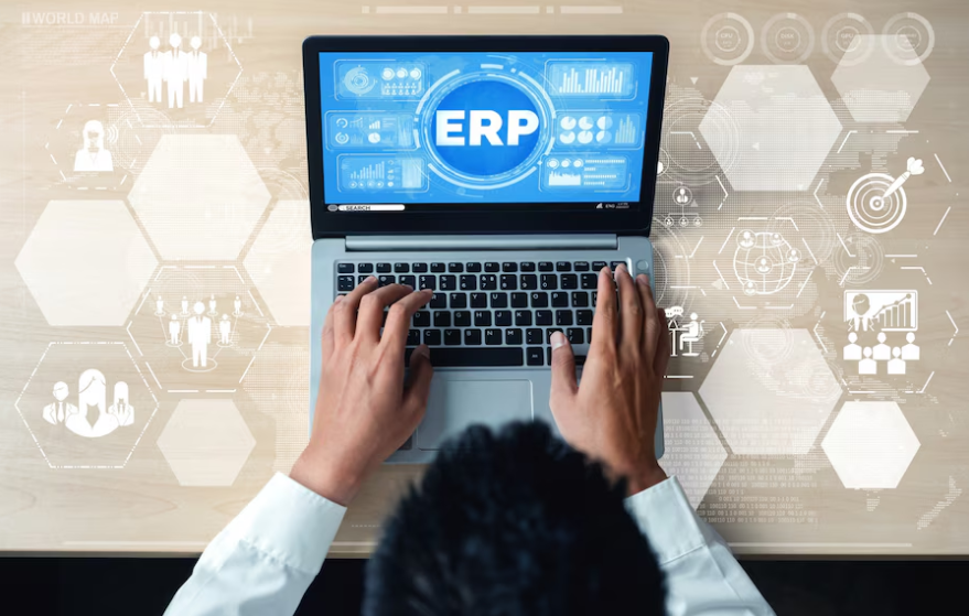 erp development